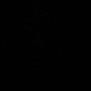 Meet your Posher, Concepcion